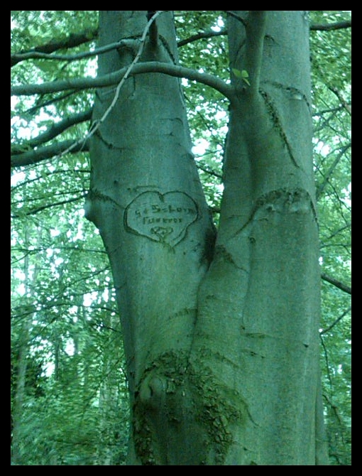 Volkspark Humboldthain Gesundbrunnen 06